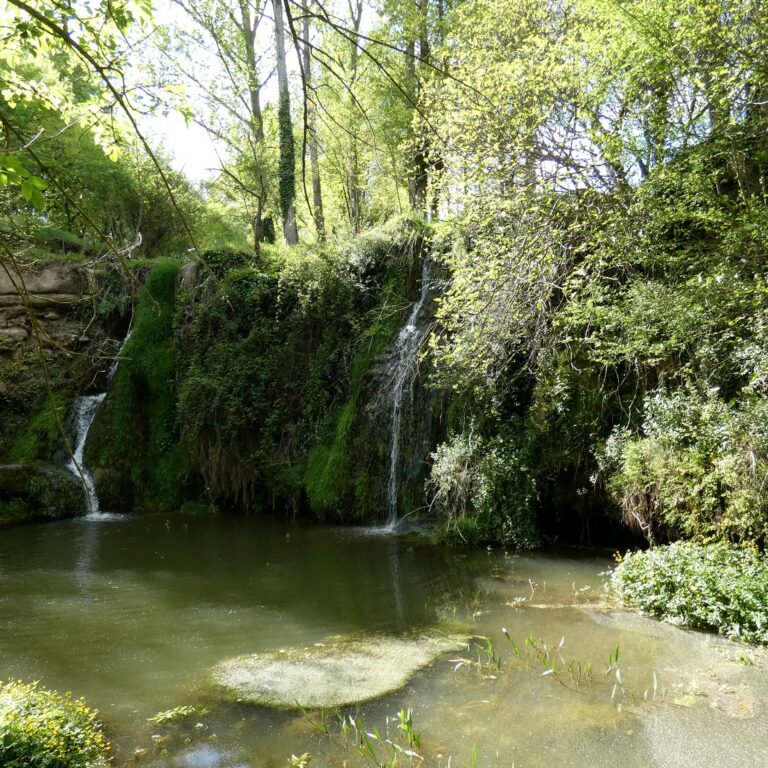 UEPrats-StaEulaliaPardines-3