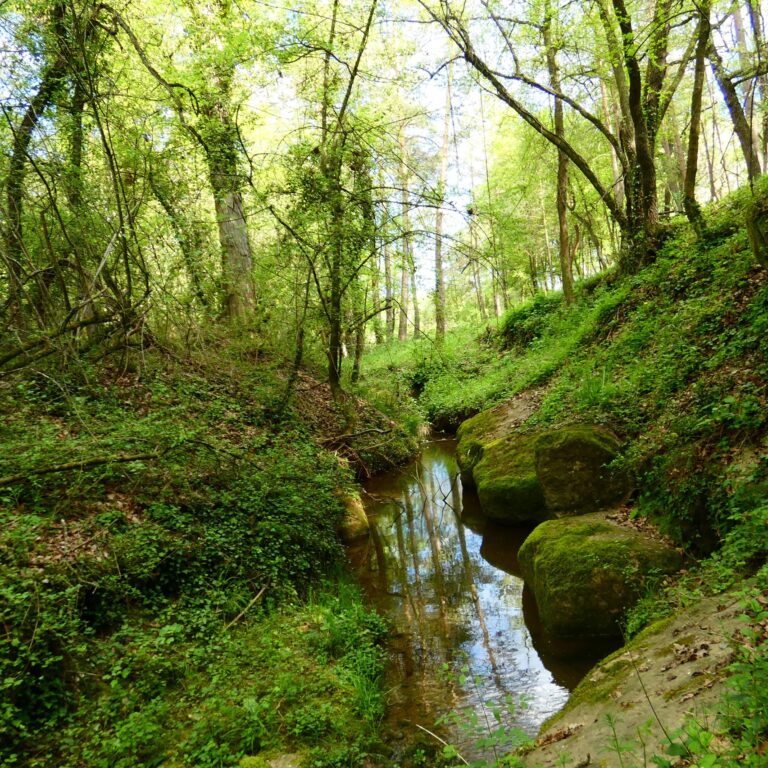 UEPrats-StaEulaliaPardines-5