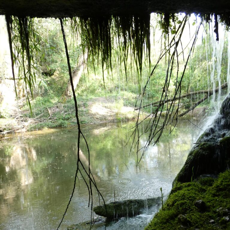 UEPrats-StaEulaliaPardines-6