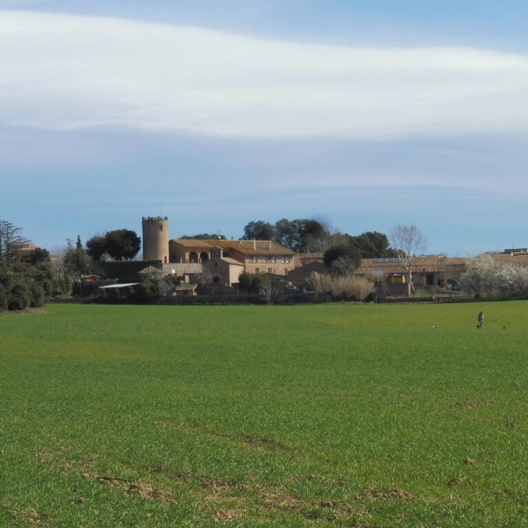 UEPrats-StaEulaliaPardines-8