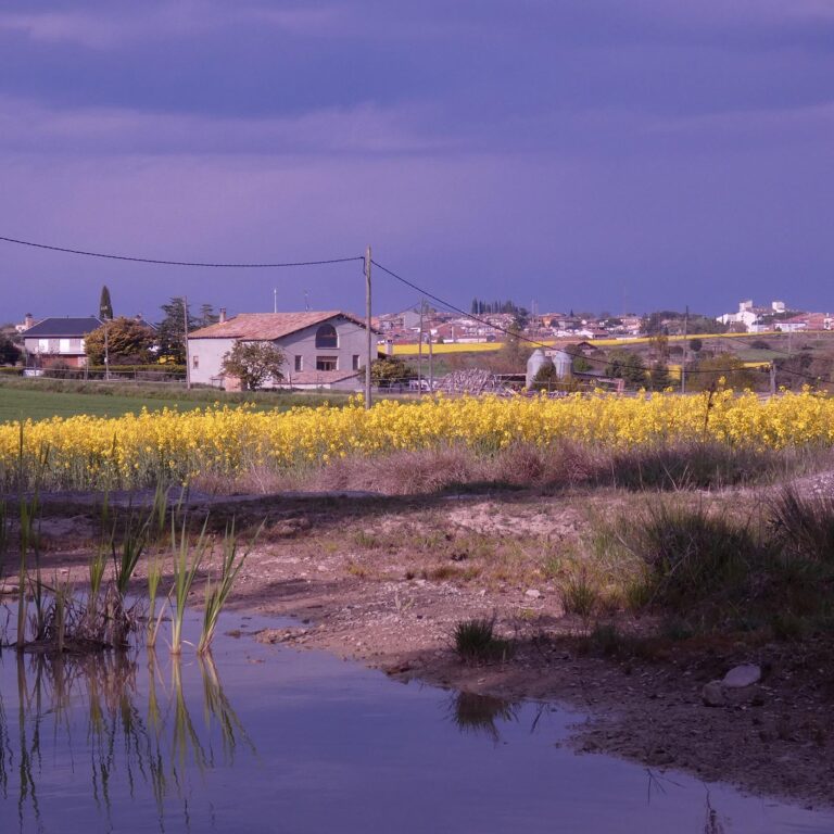 UEPrats-StAndreuLlanars-6