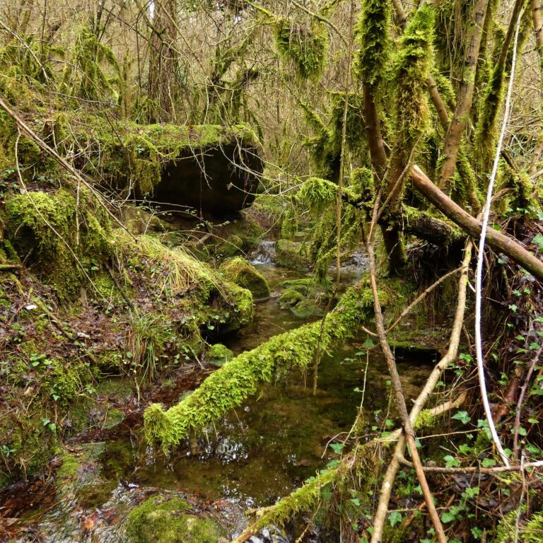 UEPrats-Costa-Cavalleria-3