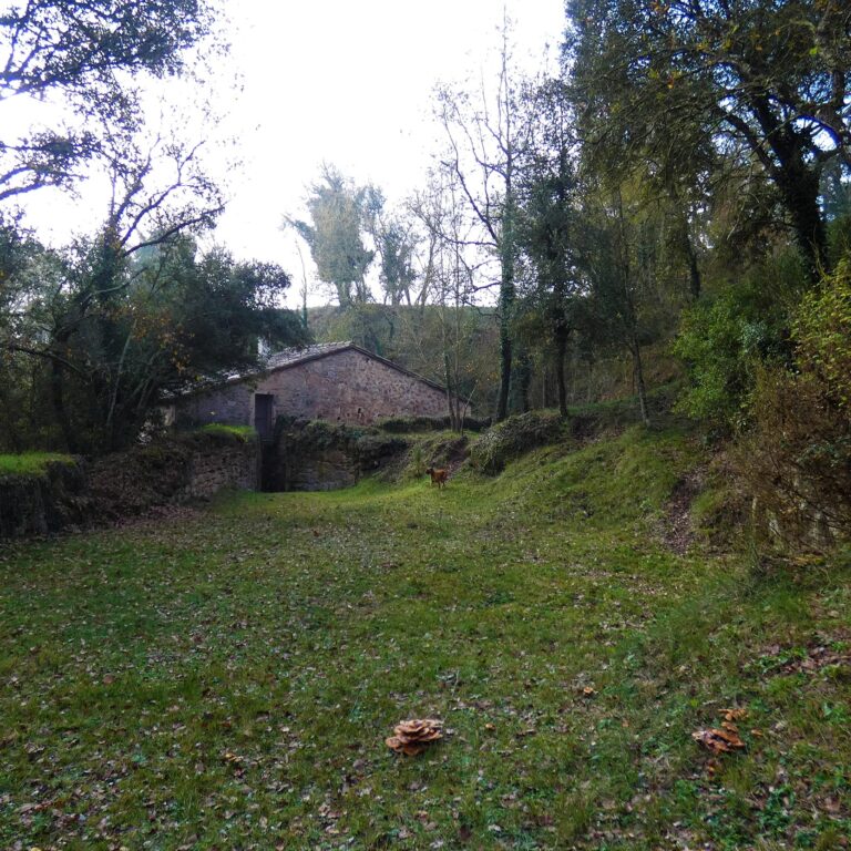 UEPrats-Costa-Cavalleria-4