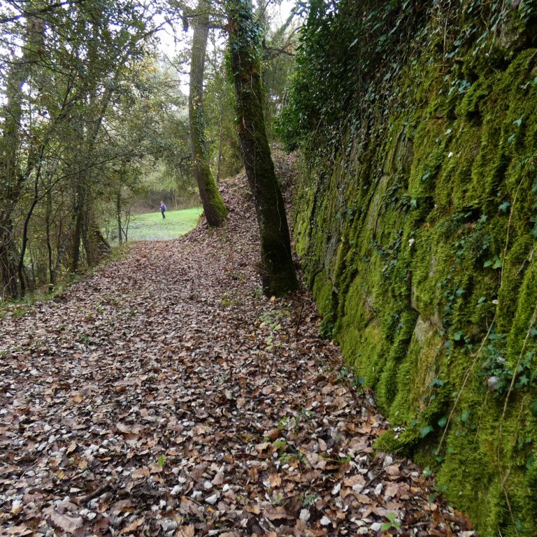 UEPrats-Costa-Cavalleria-5