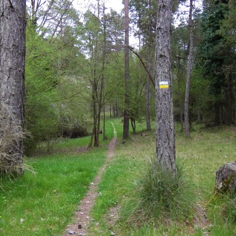 UEPrats-PR-C44-Prats-10