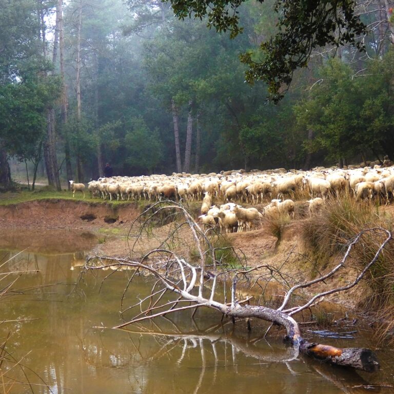 UEPrats-PR-C44-Prats-7