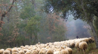 UEPrats-PR-C44-Prats-8