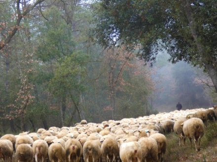 UEPrats-PR-C44-Prats-8