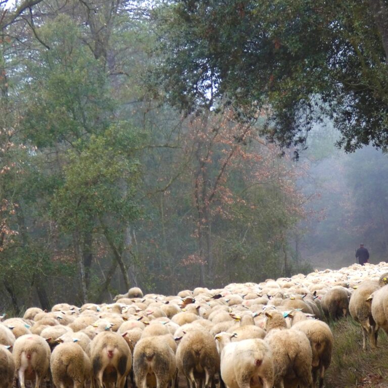 UEPrats-PR-C44-Prats-8