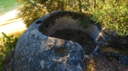 UEPrats-PR-Ruta-tines-1