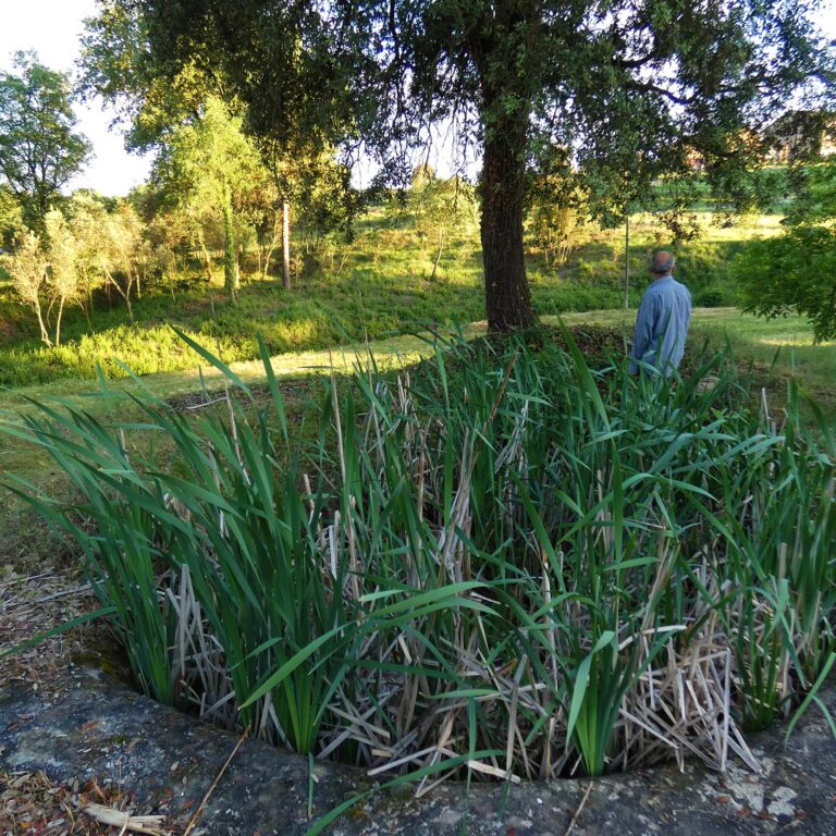 UEPrats-PR-Ruta-tines-2