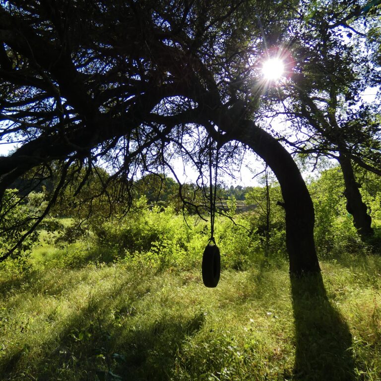 UEPrats-PR-Ruta-tines-5