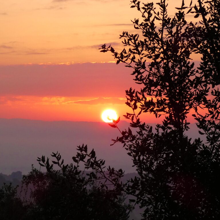 UEPrats-PR-Serra-Seca-1