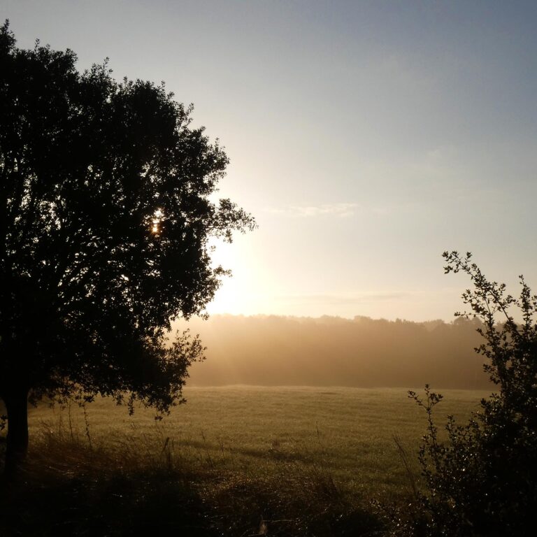 UEPrats-PR-Serra-Seca-5