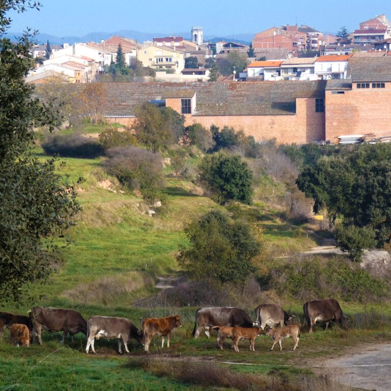 UEPrats-PR-Serra-Seca-9