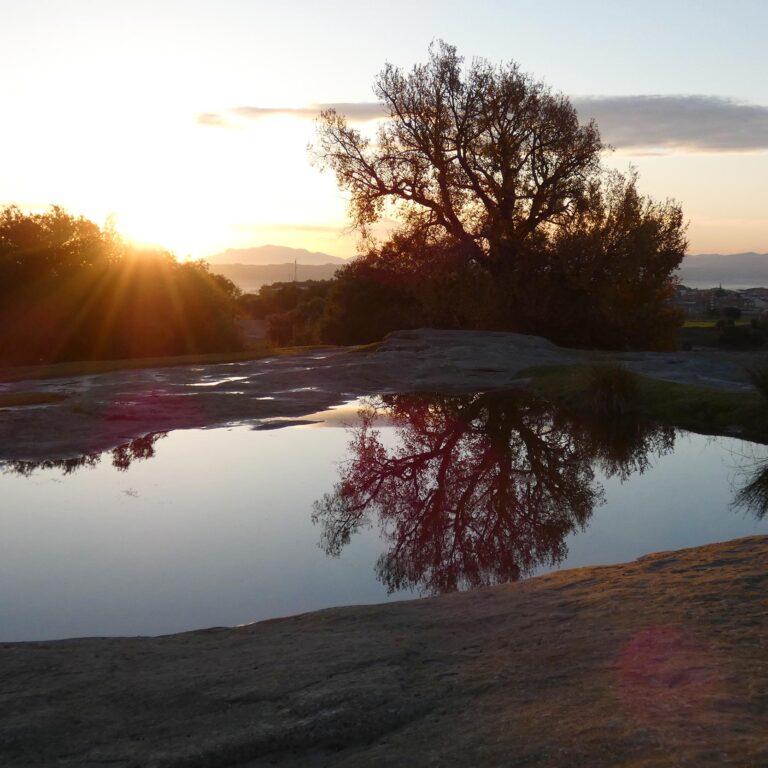 UEPrats-Ruta-Balmes-2