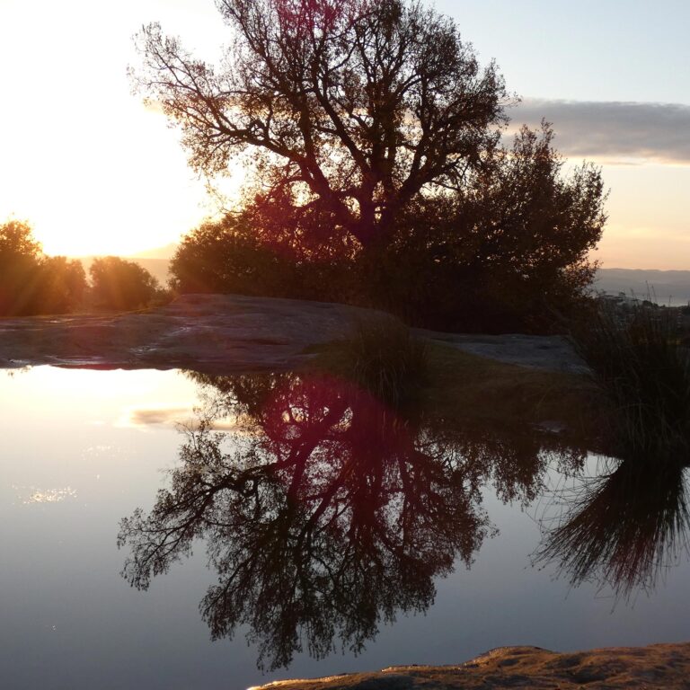 UEPrats-Ruta-Balmes-3