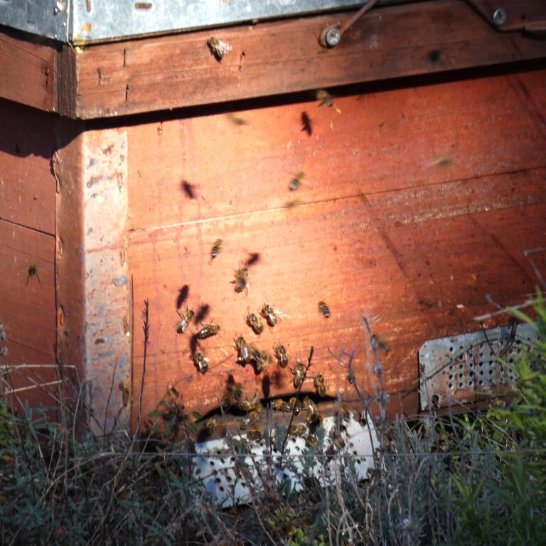 UEPrats-Ruta-Balmes-9