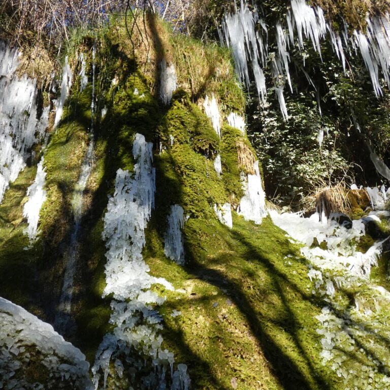 UEPrats-Ruta-Coma-Forn-5