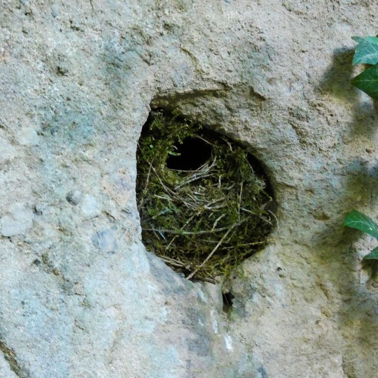 UEPrats-Ruta-Font-Guillera-3