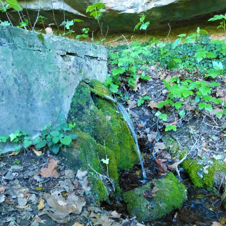 UEPrats-Ruta-FontGuillera-Marcal-1