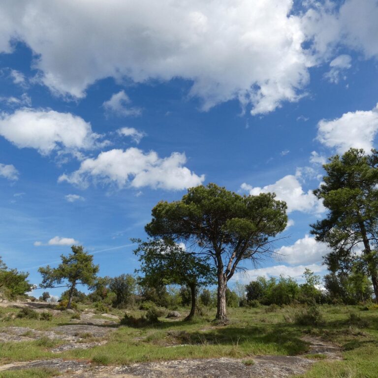 UEPrats-Ruta-Pardines-Pessebre-4