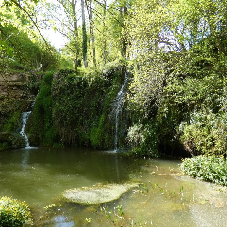 UEPrats-Ruta-Pardines-Pessebre-5