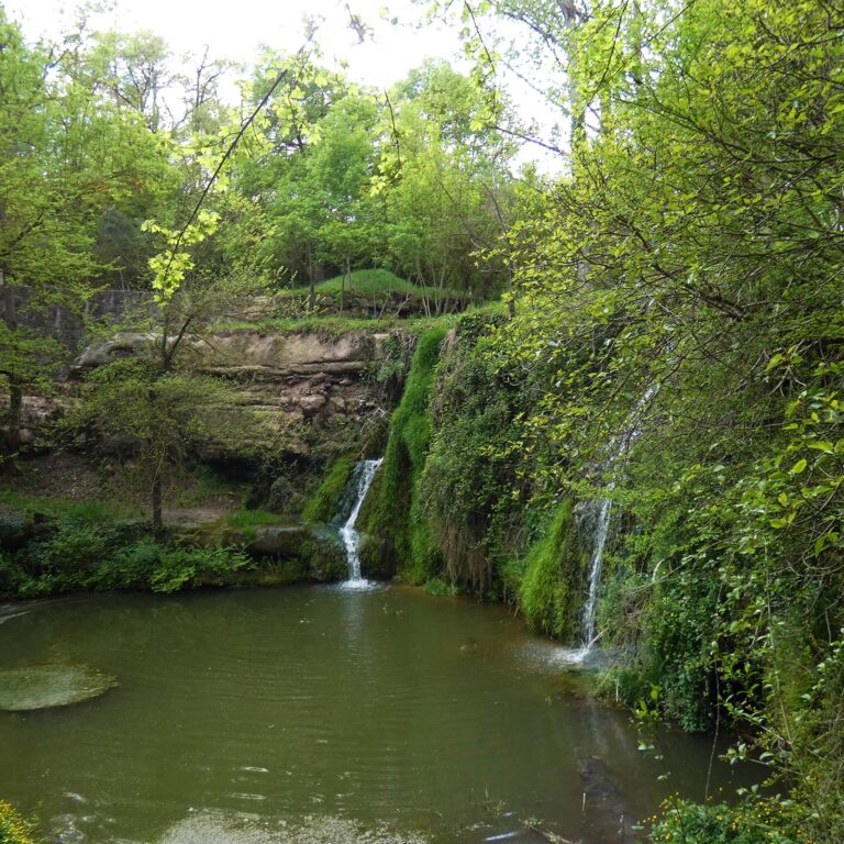 UEPrats-Ruta-Pardines-Pessebre-6