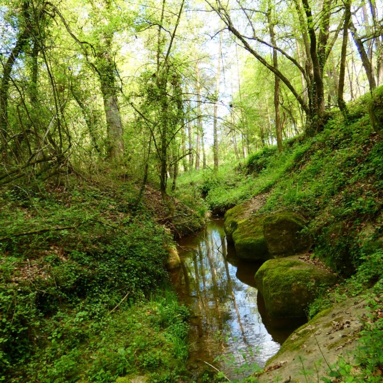 UEPrats-Ruta-Pardines-Pessebre-7