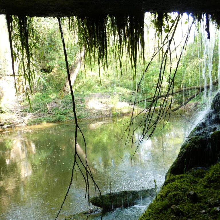 UEPrats-Ruta-Pardines-Pessebre-8