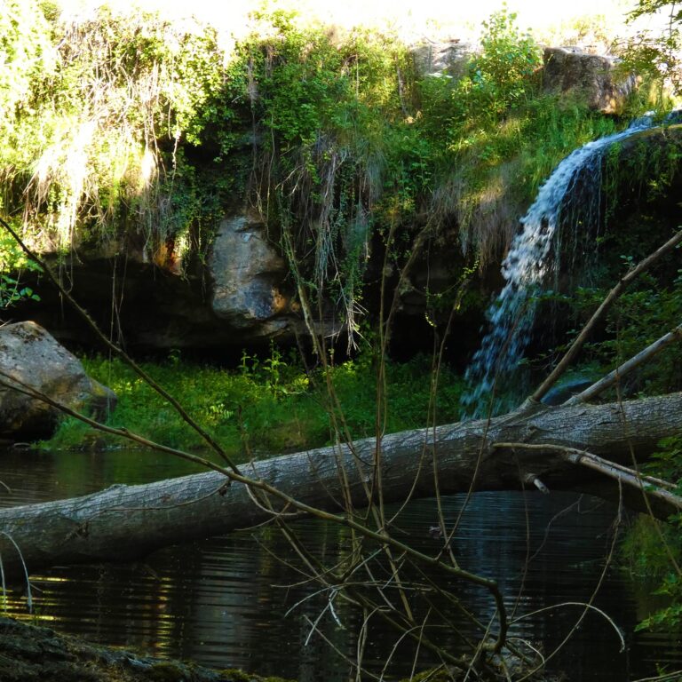 UEPrats-Ruta-StaCreu-Riera-11