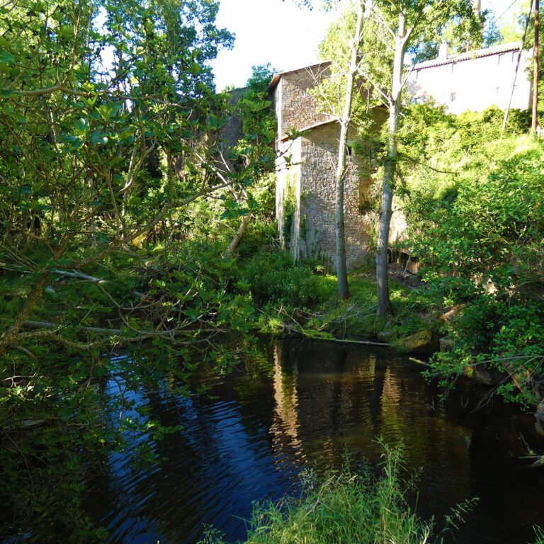 UEPrats-Ruta-StaCreu-Riera-12