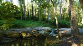 UEPrats-Ruta-StaCreu-Riera-13