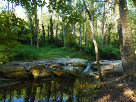 UEPrats-Ruta-StaCreu-Riera-13