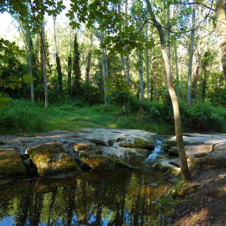 UEPrats-Ruta-StaCreu-Riera-13