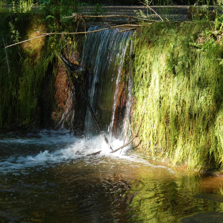 UEPrats-Ruta-StaCreu-Riera-14