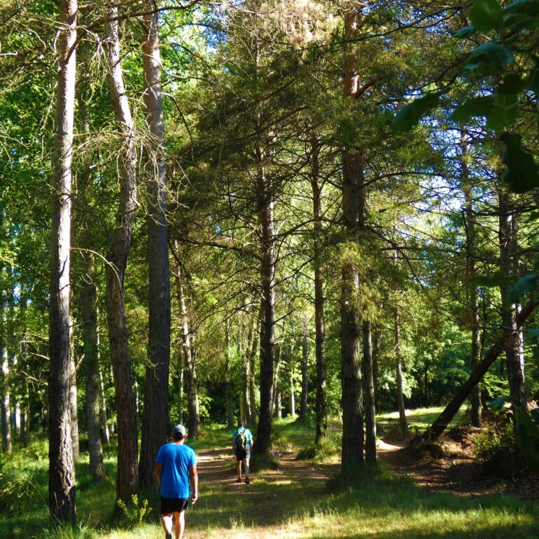 UEPrats-Ruta-StaCreu-Riera-15