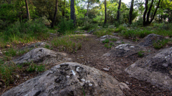 UEPrats-Ruta-Caminada2022-La-Ramada