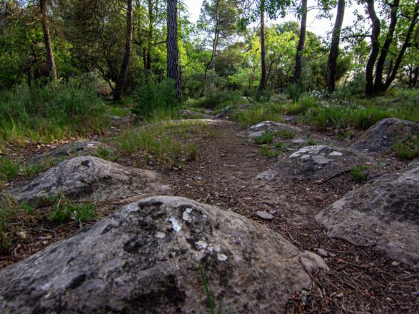 UEPrats-Ruta-Caminada2022-La-Ramada