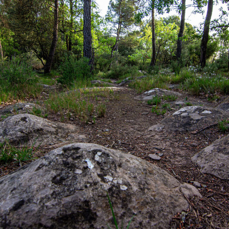 UEPrats-Ruta-Caminada2022-La-Ramada