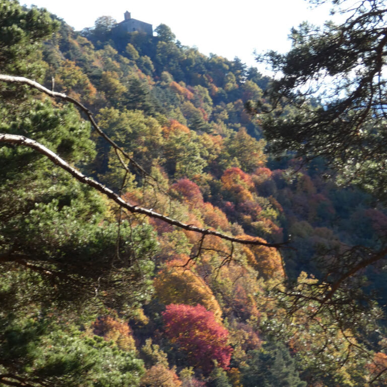 Vistes a Sta Margarida