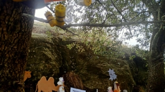 2023-12-24_05-46-03_327940_fotos-generals-8